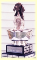 Porshe in a trophy
