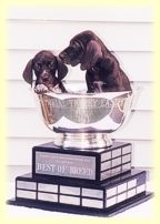 Two pups in a trophy