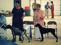 Peggy and Sharon in the ring.