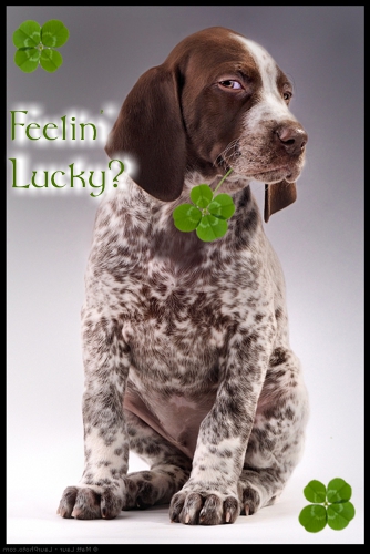 St. Patrick's Day