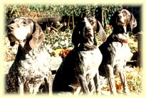 Ruger, Heidi, Anna