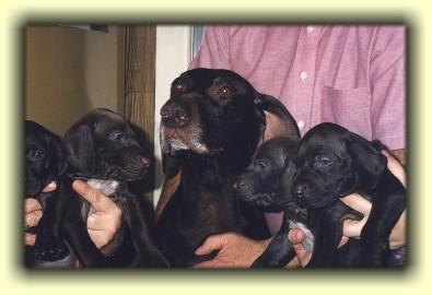 Feather with her girls.