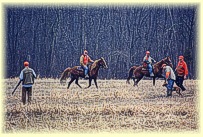 Steve Judging At A Hunt Test