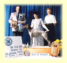 Leesy (far right) and Sharon holding April being awarded Best of Winners from the Bred by Exhibitors class, at the 1994 GSPCA National Specialty Show in Denver Colorado