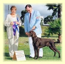 Steve and Marco being awarded Winners Dog at the 1997 GSP National Specialty Show in San Diego