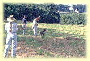 Launching the bird