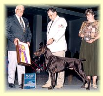 Marco receives Best Of Breed.