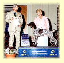 Monroe wins Best Of Sweepstakes at the GSPCA National Specialty, 2001.