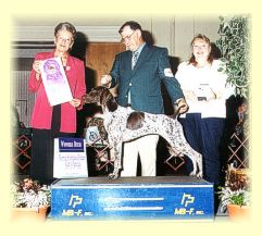 Monroe takes Winners Bitch at the GSPCA National Specialty, 2001.