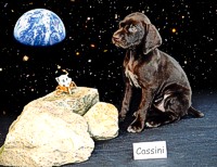 Cassini