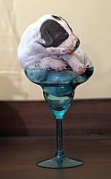 Puptini